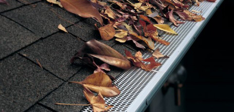 Maintenance Free Gutter Guards