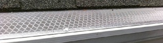 Why Gutter Guards?